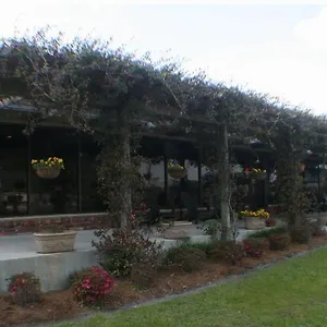 Quail Run Hotel